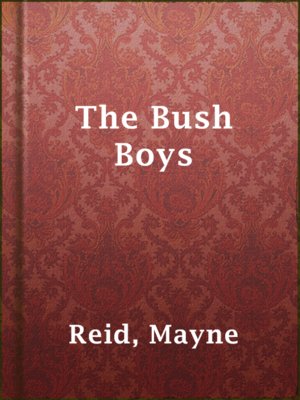 cover image of The Bush Boys